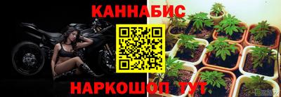 СК Балахна