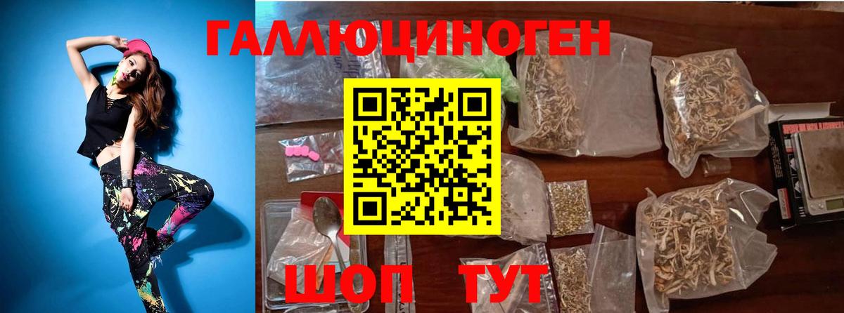 Псилоцибиновые грибы Cubensis  Вход с VPN  Гусиноозёрск 